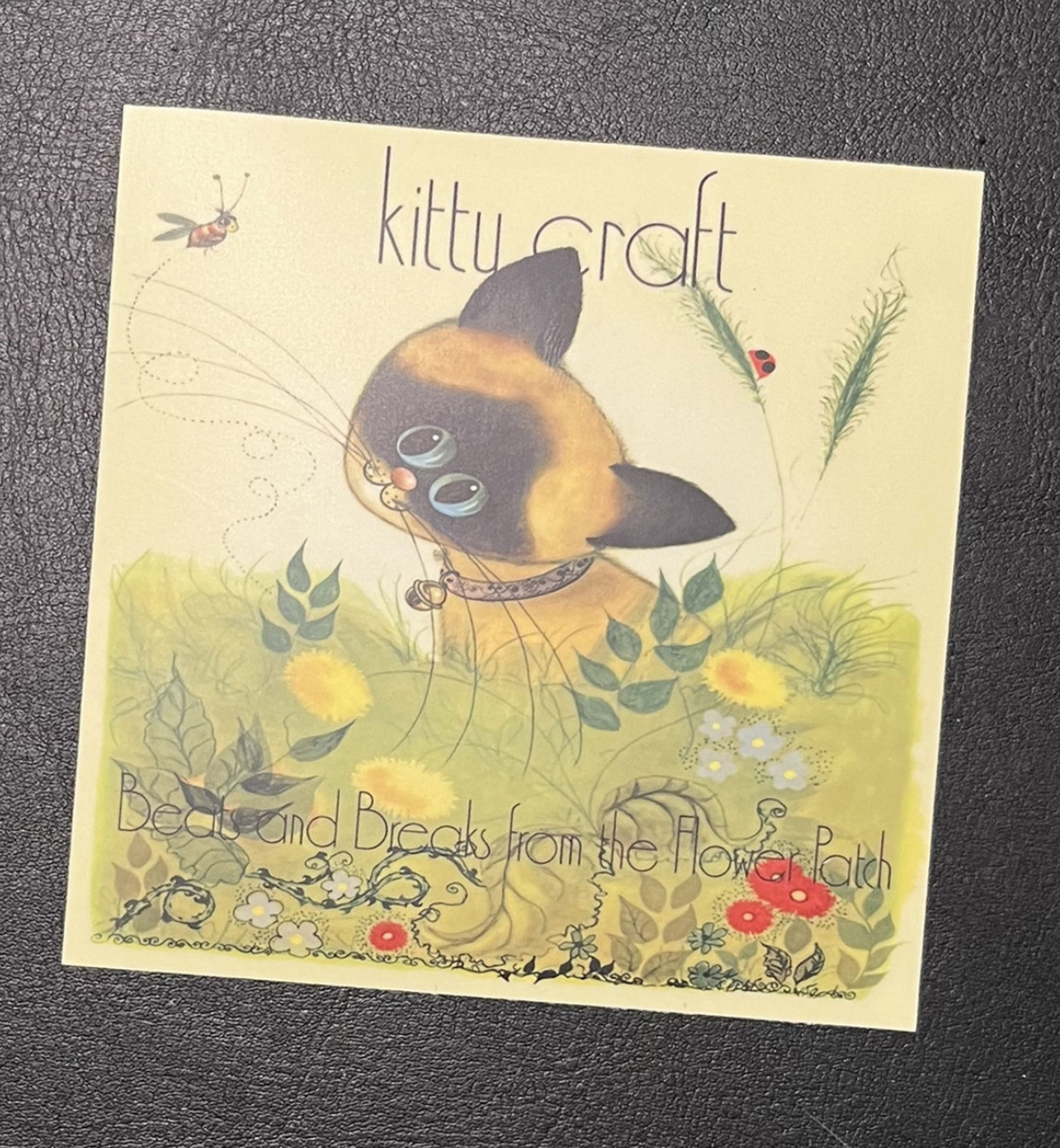CD Combo Pack! Includes CATSKILLS CD and LOST TAPES CD + stickers